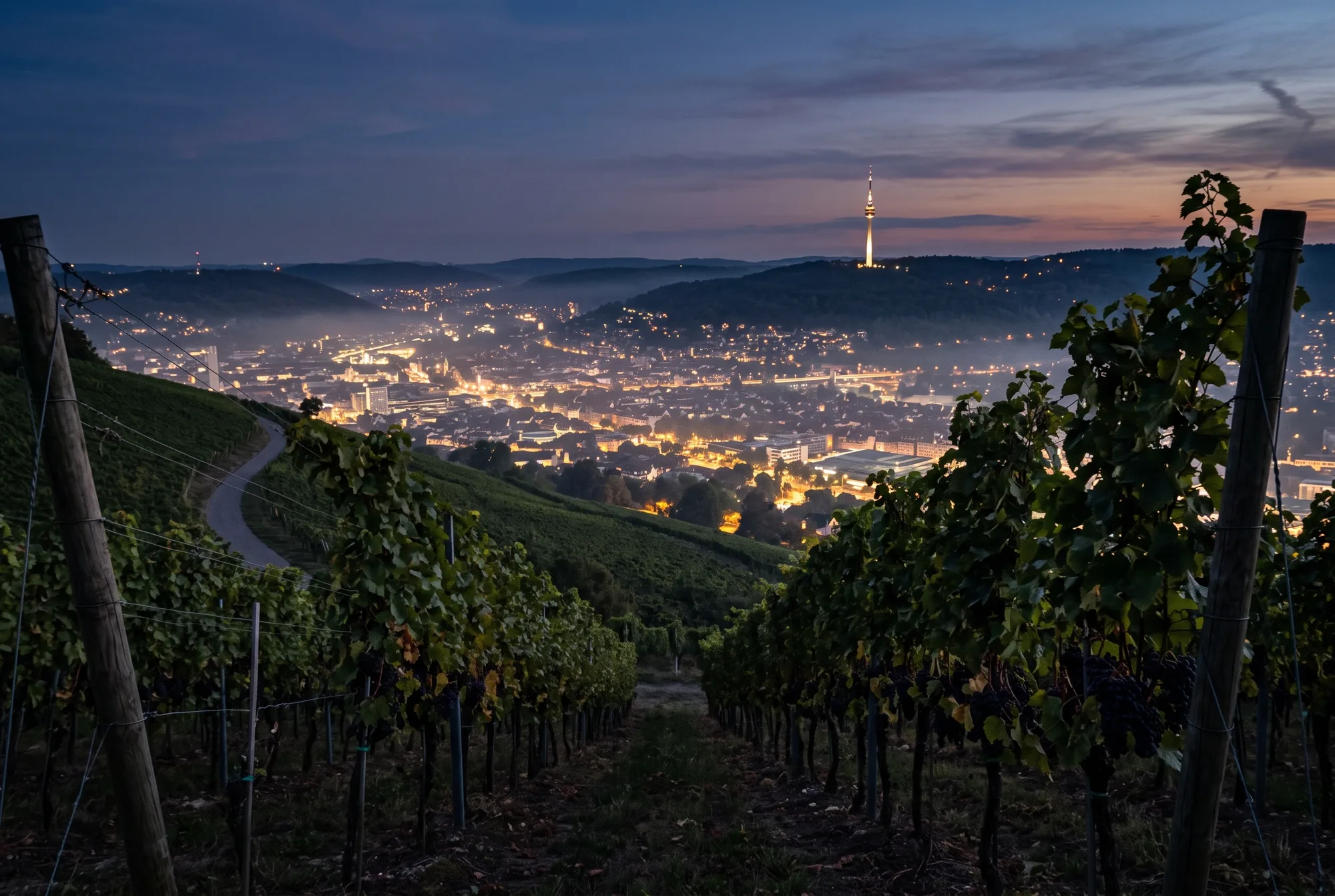 Blick vom Weinberg über den Stuttgarter Kessel bei Nacht